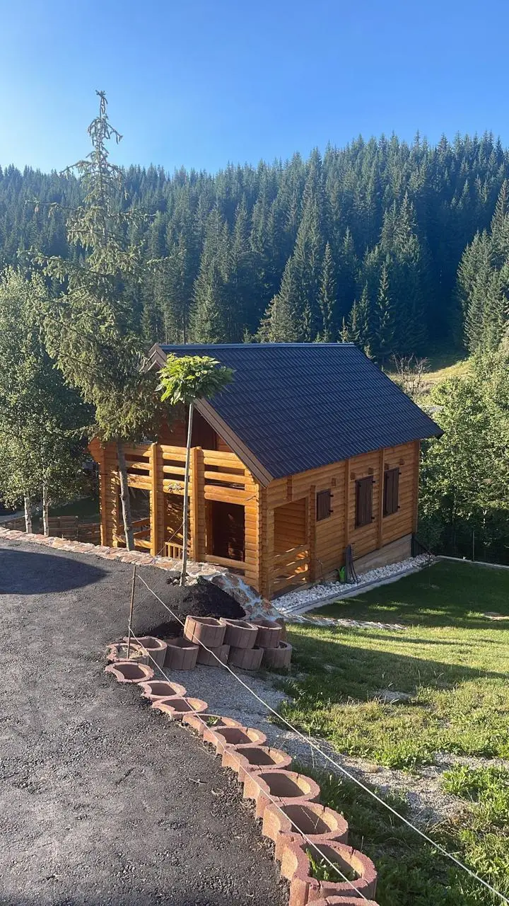 Brvnara u šumi
